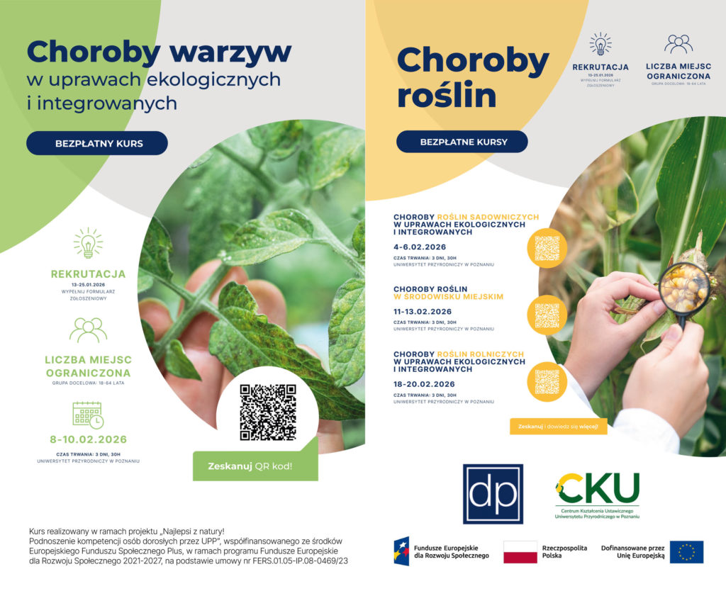 Szkolenia bezpłatne UP 2026